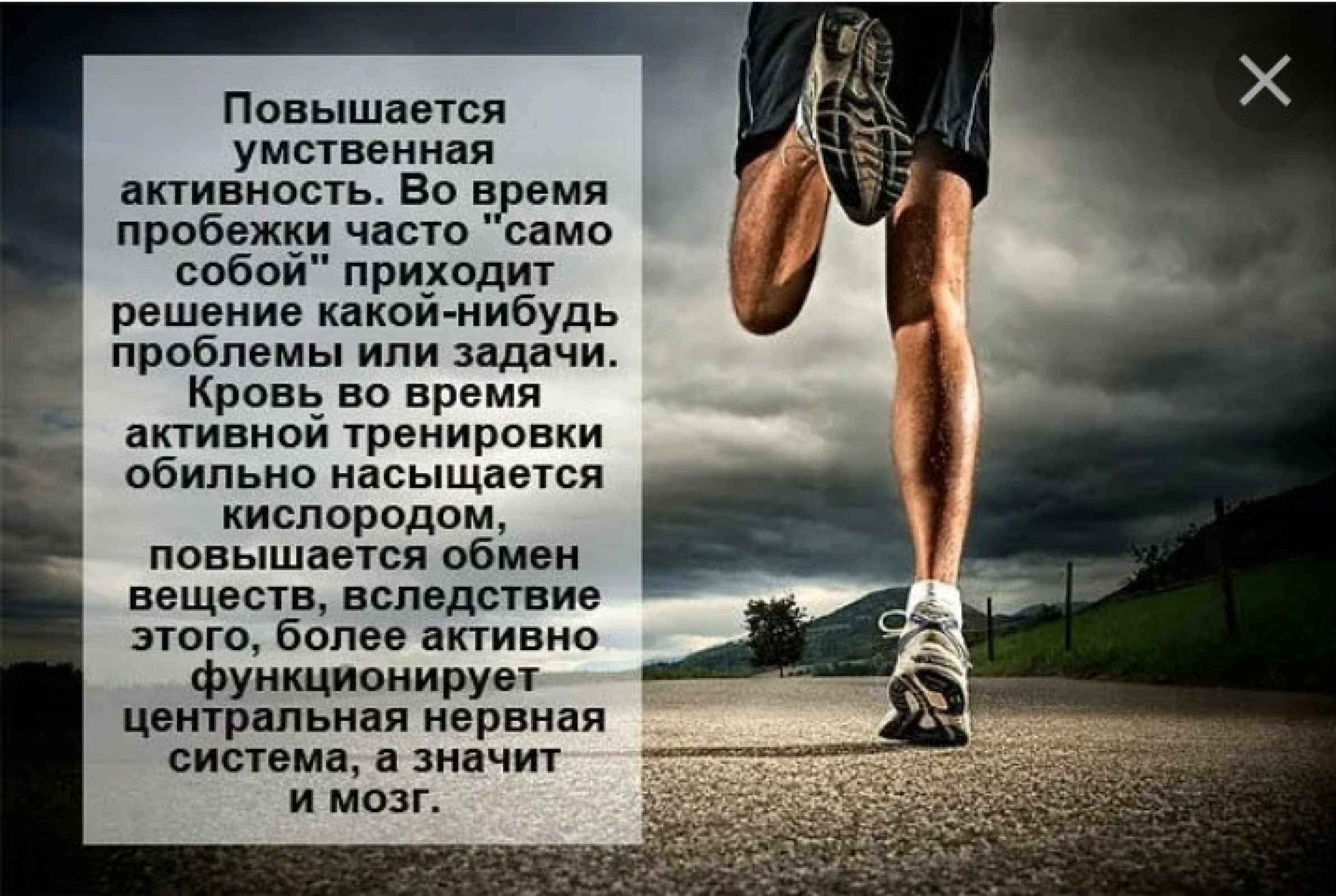 Бежим текст три. Цитаты про бег. Высказывания про бег. Спортивные цитаты. Афоризмы про бег.