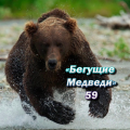 Бегущие Медведи 59